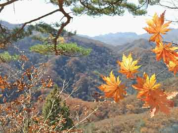 《懂懂骑山东》–泰安市岱岳区