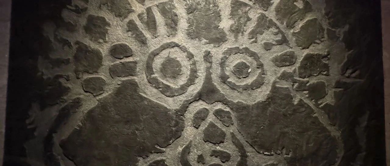 2025-06-20号随笔